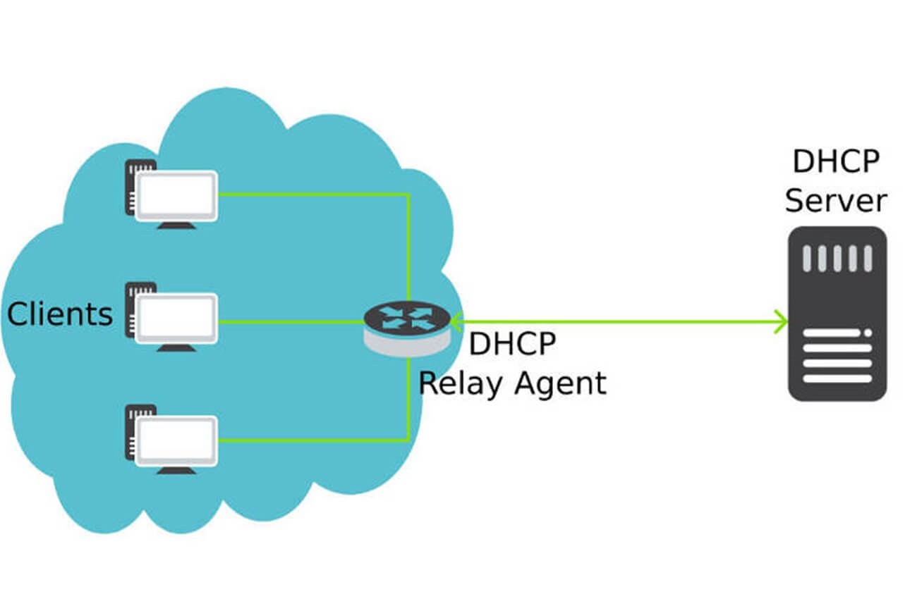 DHCP چیست