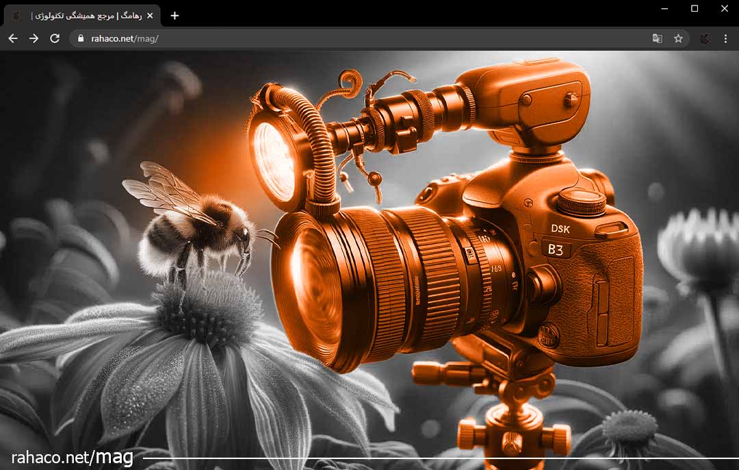 عکاسی ماکرو