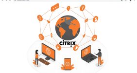 هزینه لایسنس سیتریکس