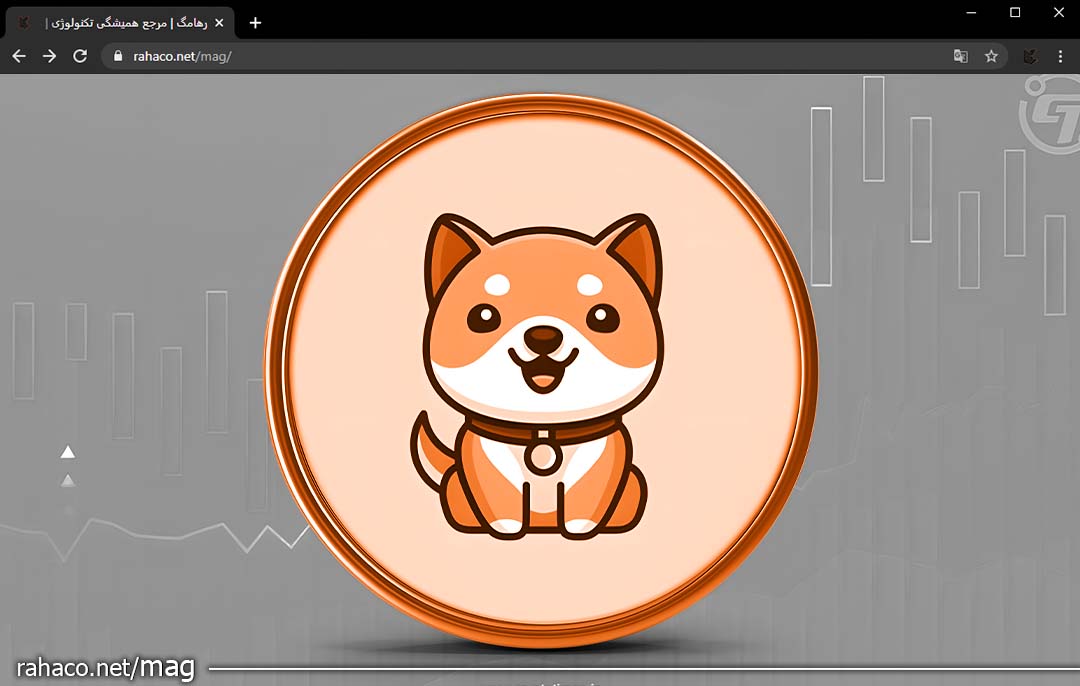 ارز دیجیتال بیبی دوج